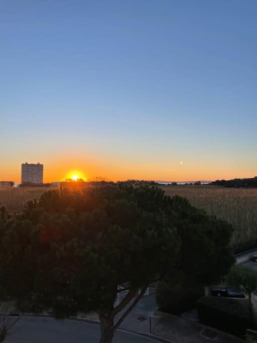 Domaine D'azur - Renovated 1br With Terrace Pool & Garage Apartment *