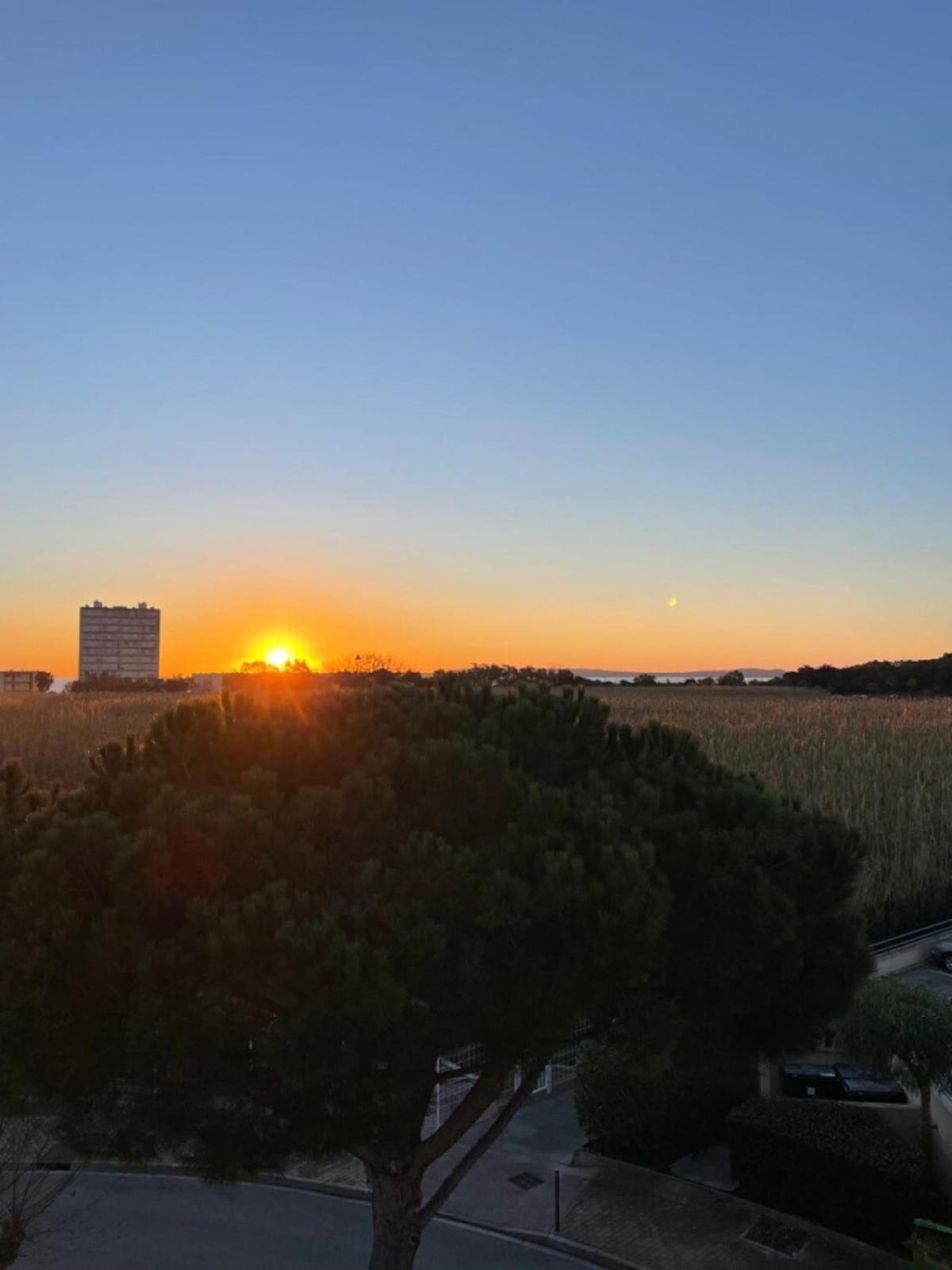 Domaine D'azur - Renovated 1br With Terrace Pool & Garage Apartment *